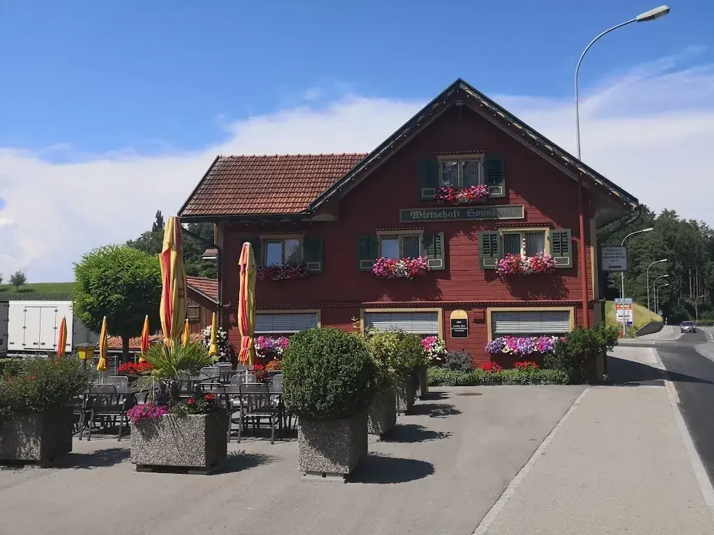 Rolf Markus Baumann_Sonnental_Wittenbach_avis