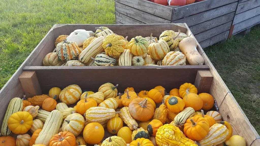 Säntis AG_Wittenbach_menu_image_1