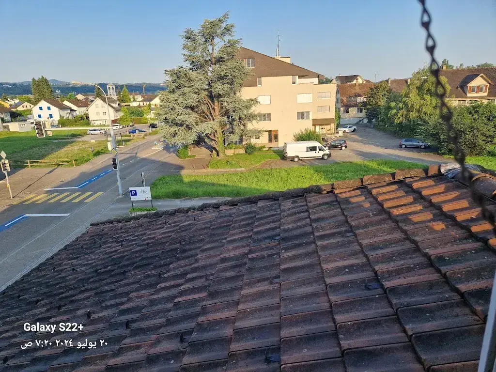 Nashit elhawary_Blume_Steinach_Bewertung