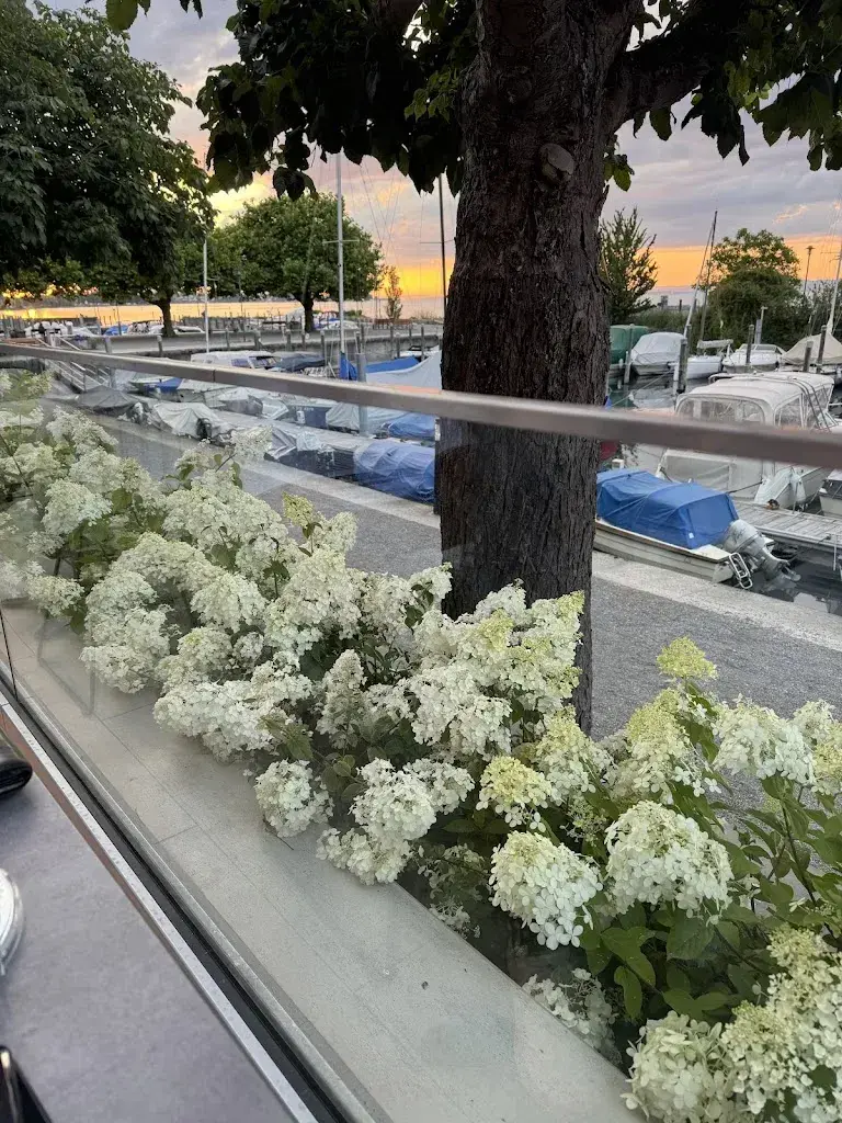 Andrea Kessler_Lido_Horn_reseña