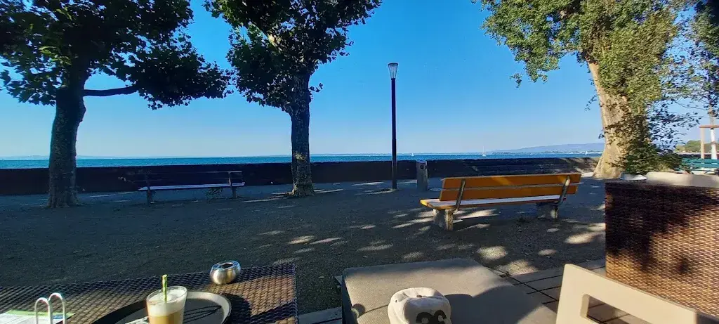 Nikolay Rudyy_Stars am See_Rorschach_avis