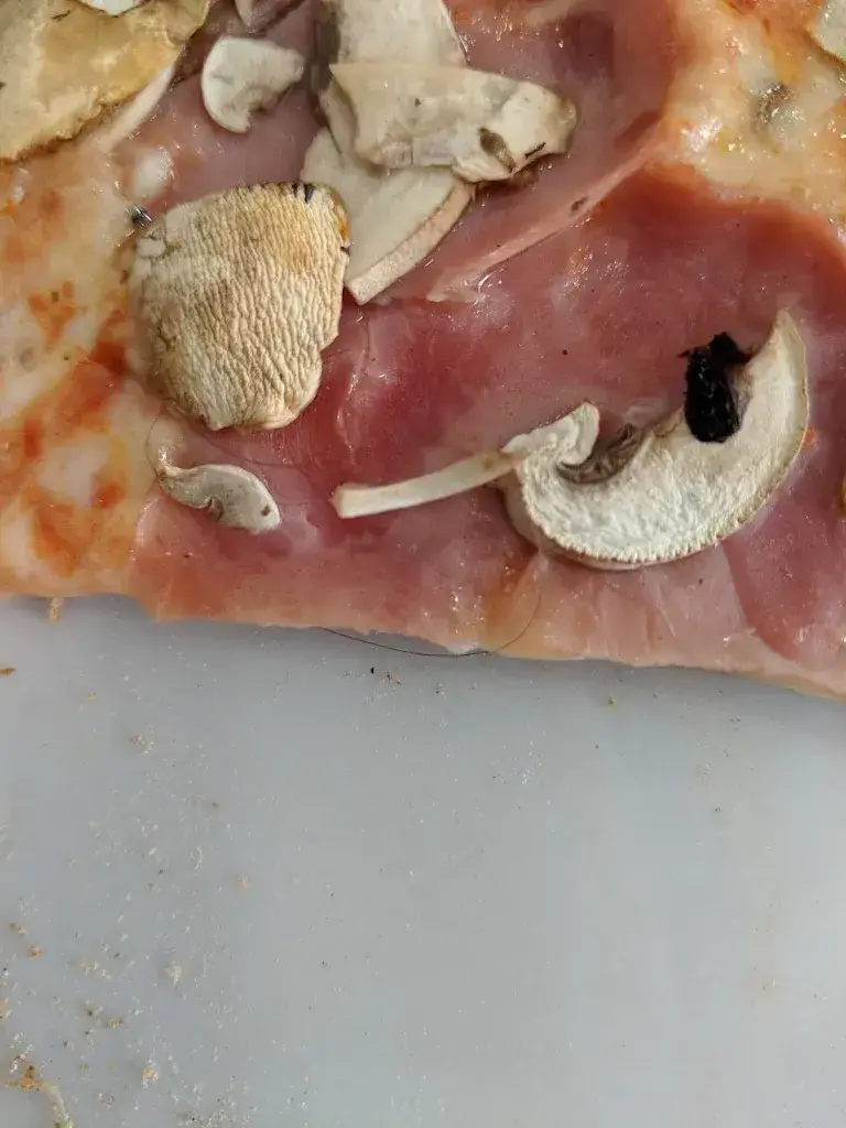 Sergey_Turtles Pizzeria_Rorschach_review