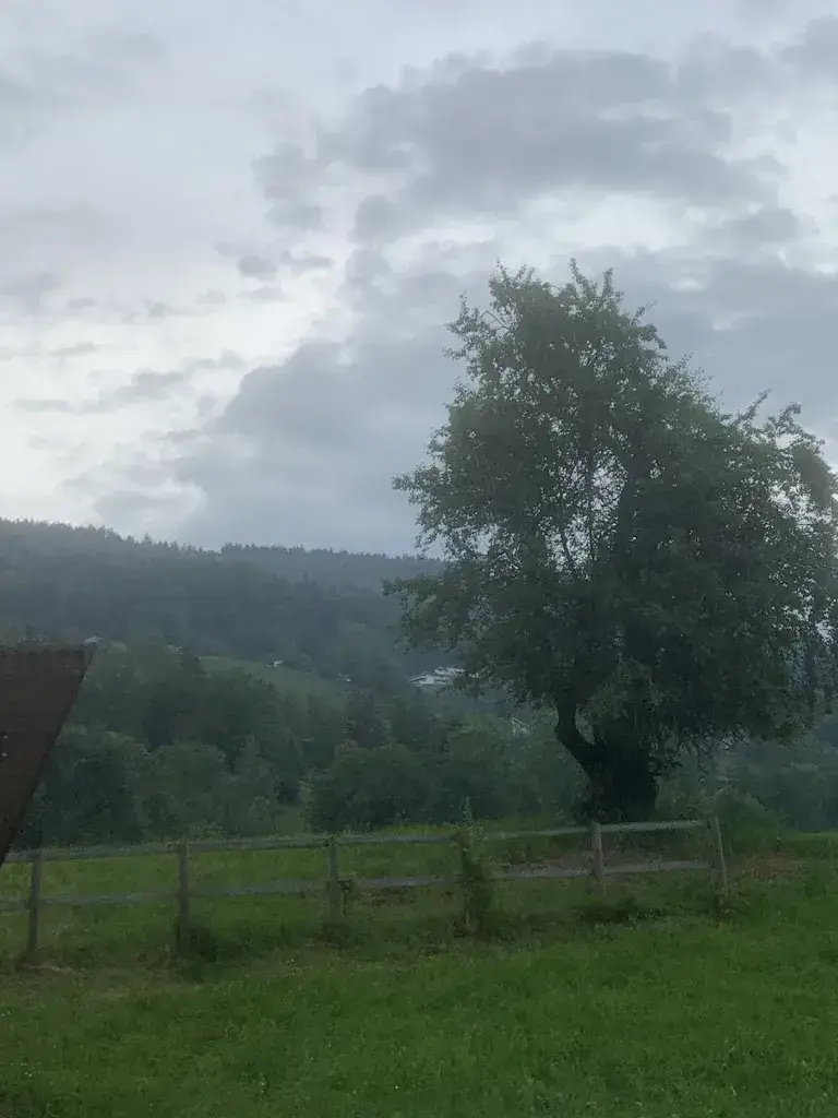 Luca_Schloss Weinstein_Marbach_review