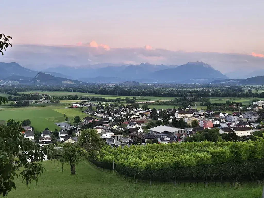 Misja Luijf_Schloss Weinstein_Marbach_review