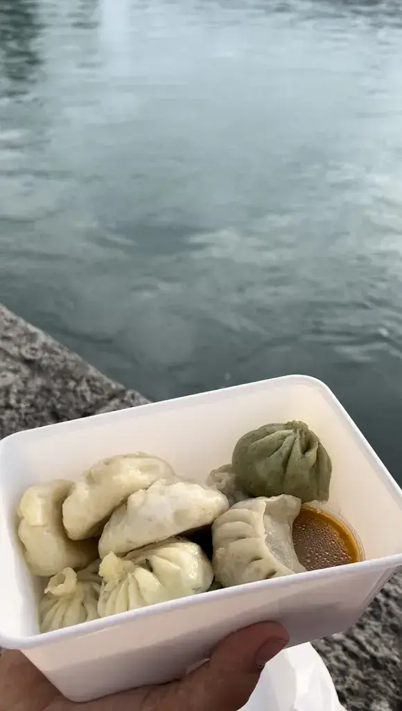 Foodie_Tibetan Snow Lion Momos_Liebefeld_review