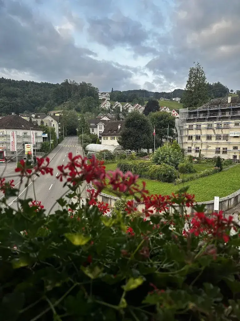 aakash vishnu_Hotel Hecht_Rheineck_reseña