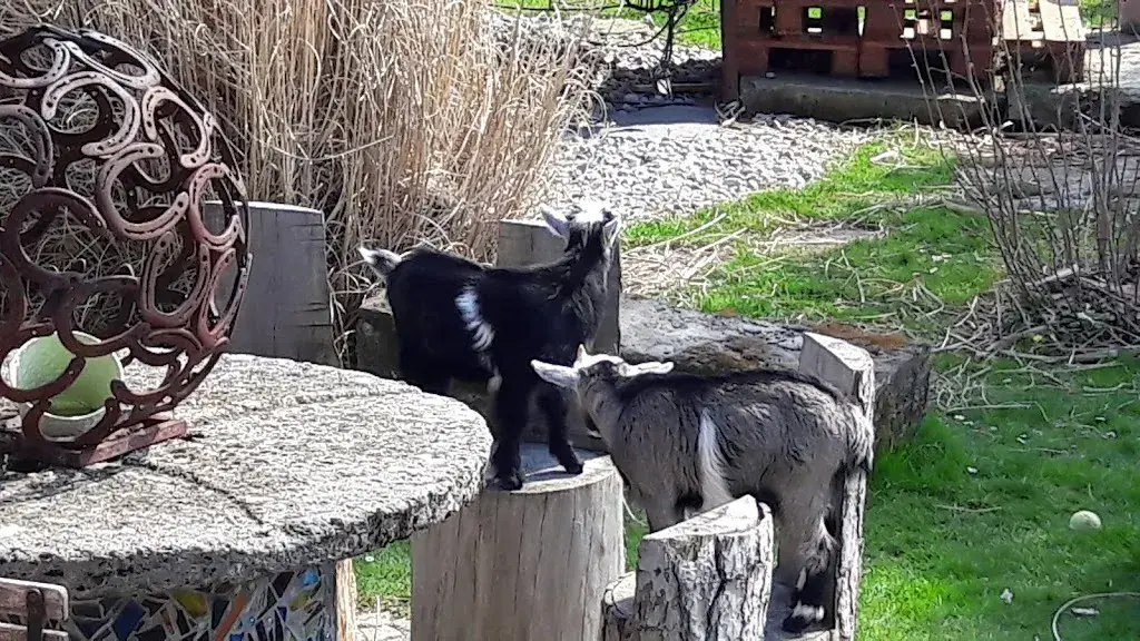 JBistro klein&fein_Köniz_slider_image_3