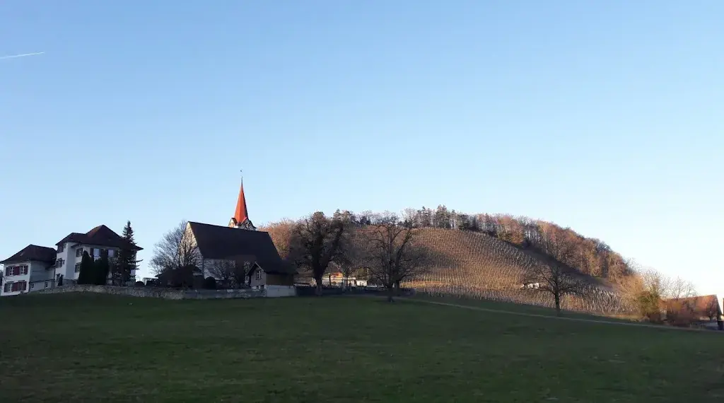 barbara weder_Restaurant Sonne_Eichberg_avis