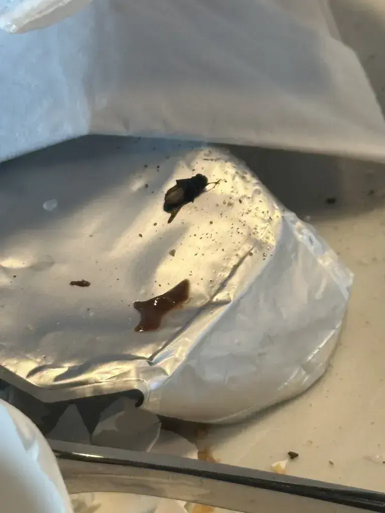 Andy Lee_Restaurant RHY_Oberriet_review