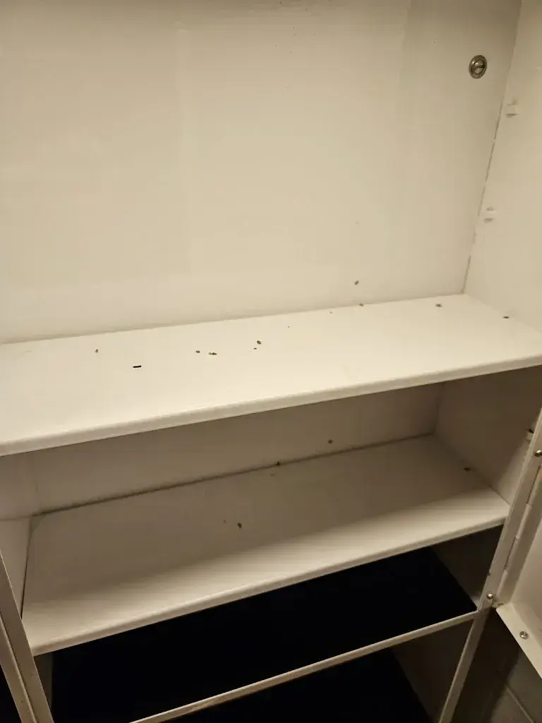 Gabriel Carol_Hotel Schäfli Gams_Gams_review