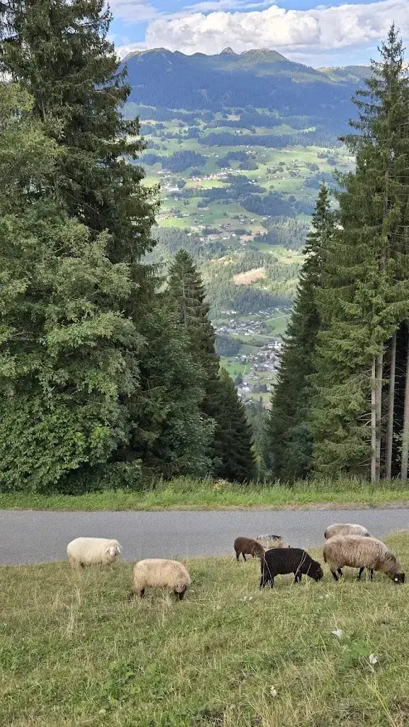 Rae Woon_Berggasthof Grabs_Austria_Bewertung