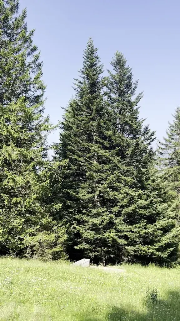 Peter Z_Skihaus Sevelen_Sevelen_recensione