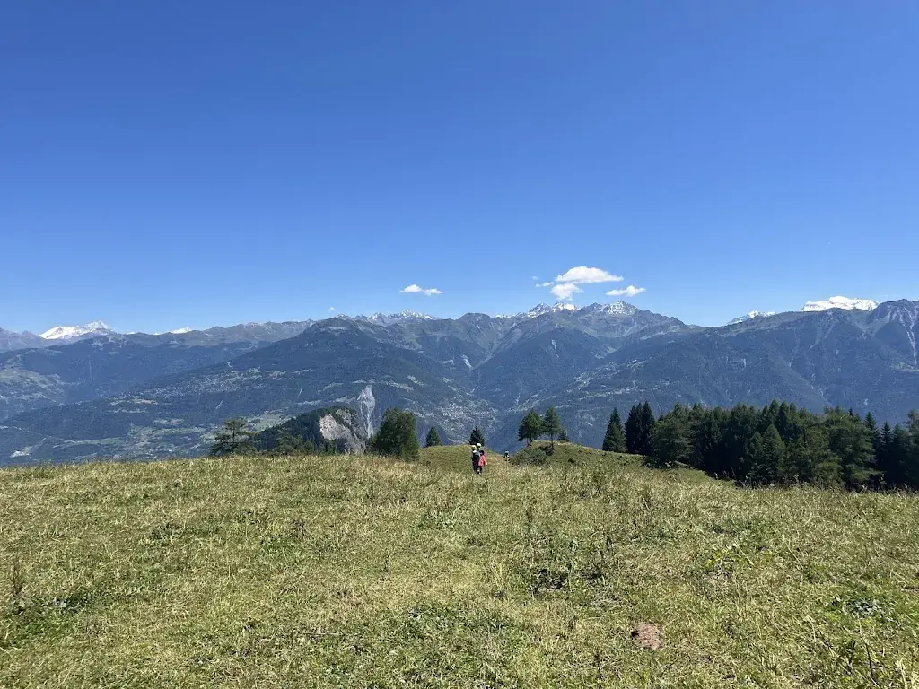 G Cheseaux_Buvette de Loutze_Mayens-de-Chamoson_review