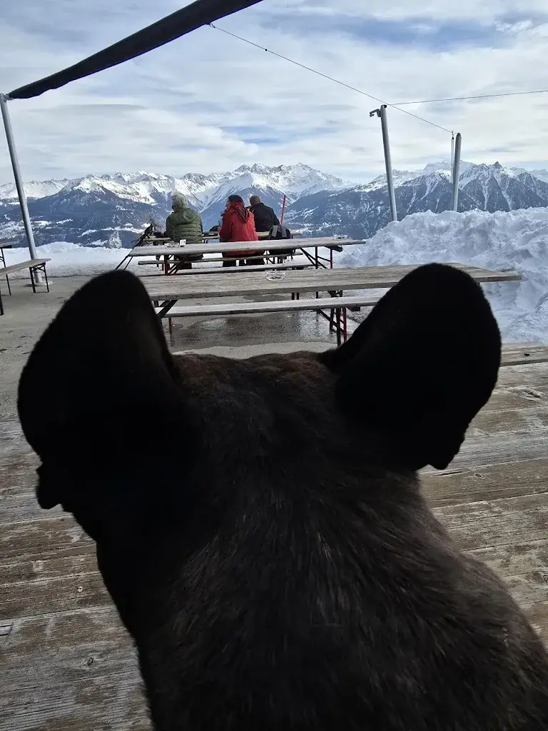 Daniel Starzomski_Buvette de Loutze_Mayens-de-Chamoson_review