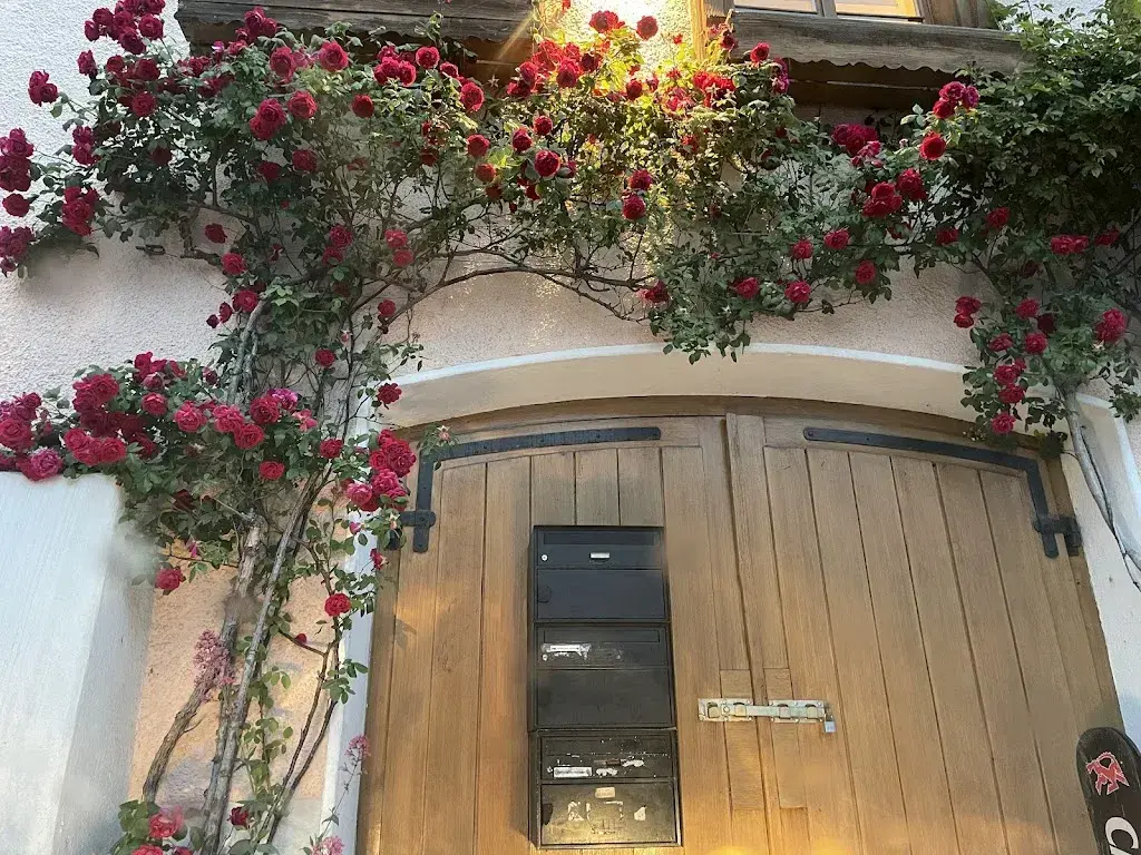 Elvira Rakhmanova_El Gusto_Sargans_recensione