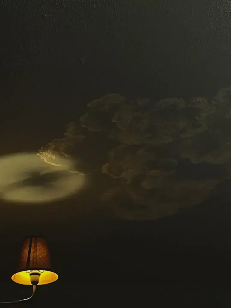 Julie C._Deja Vu_Sargans_avis