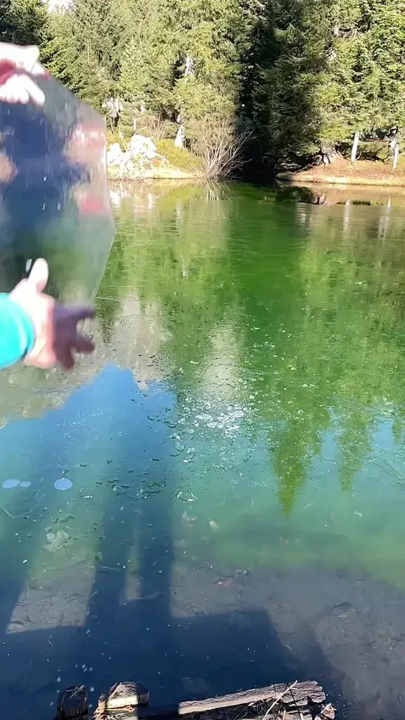 Peter Z_Hotel Sennis Alp_Walenstadt_review