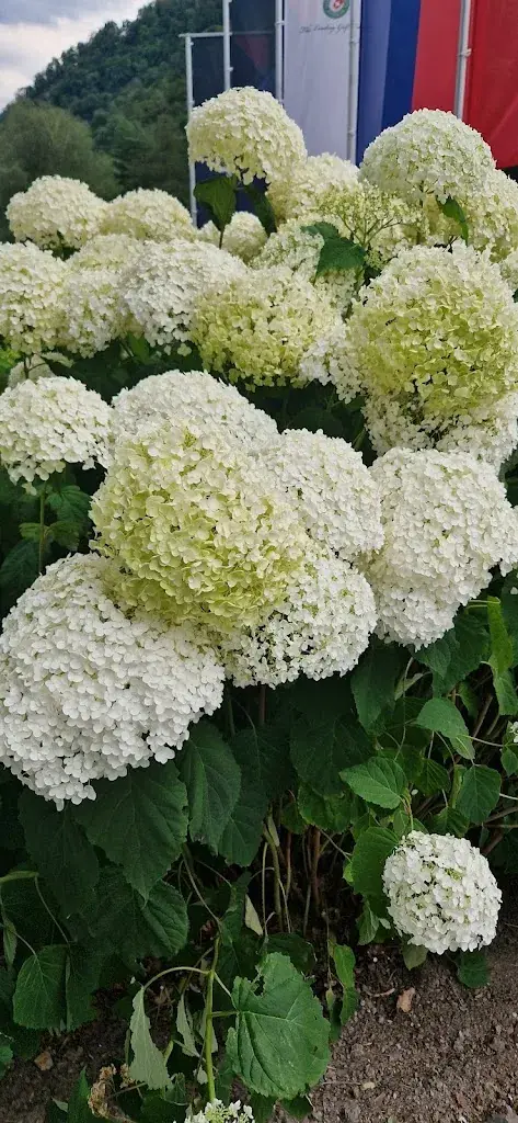 Doris Eberhardt_Restaurant Schloss Ragaz_Bad Ragaz_recensione