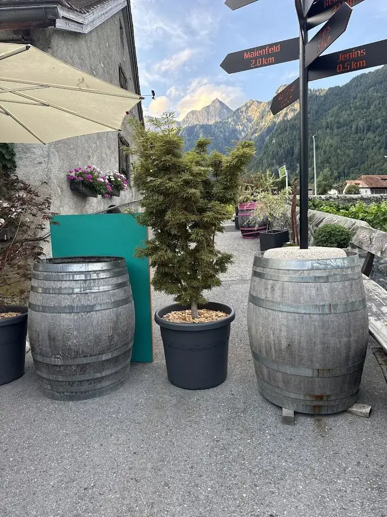 Hussain AL-shaqha_Alter Torkel / Huus vum Bündner Wii_Jenins_review