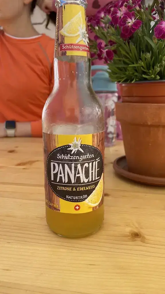 oliver bocevski_Panoramarestaurant Maschgenkamm_Flumserberg_review