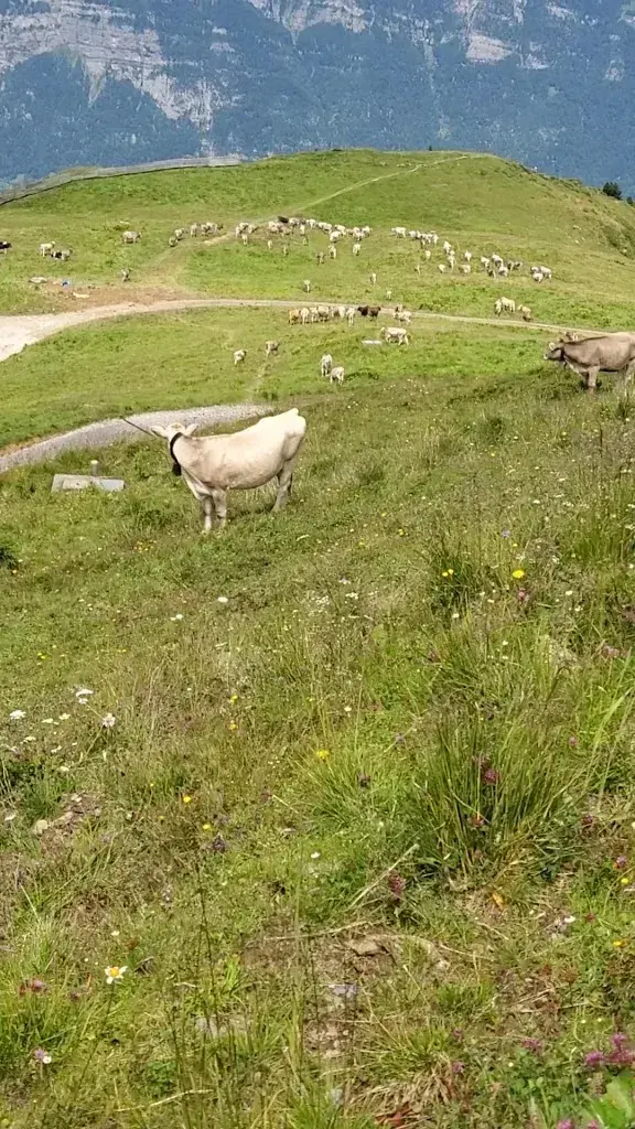 Tomas Stehlik_Bergrestaurant Maschgenlücke_Flums_review