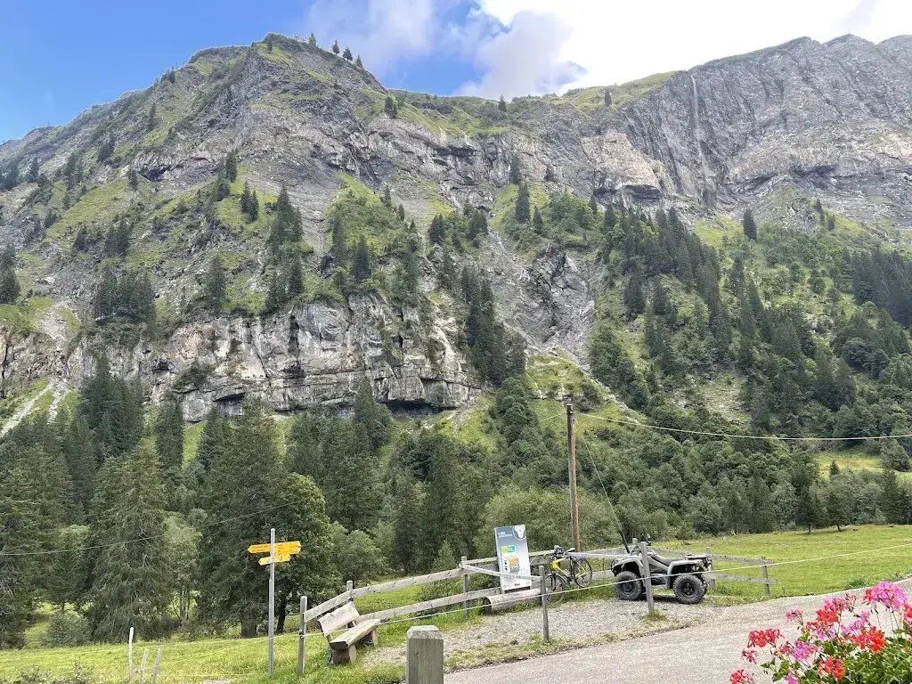 Ivan Hristov_Walabütz_Weisstannen_avis