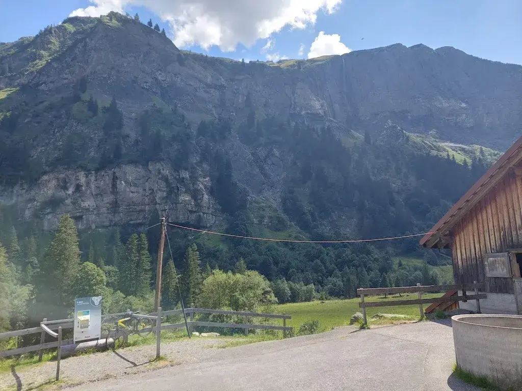 Quidam Varekai_Walabütz_Weisstannen_avis