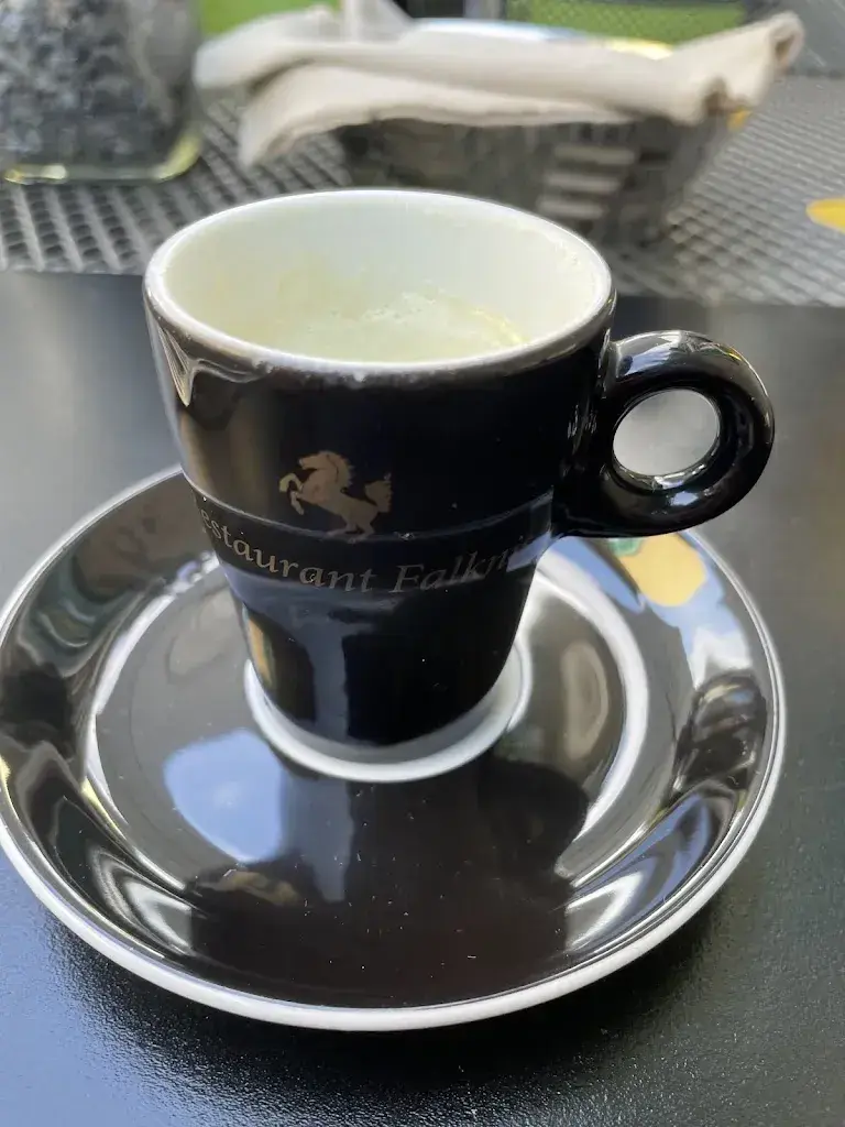 Menu_Restaurant Falknis Gion Rudolf Trepp_Maienfeld_immagine_4