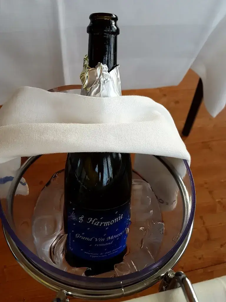 S Q_La Terrasse du Port, restaurant bar à vin_Le Bouveret_review