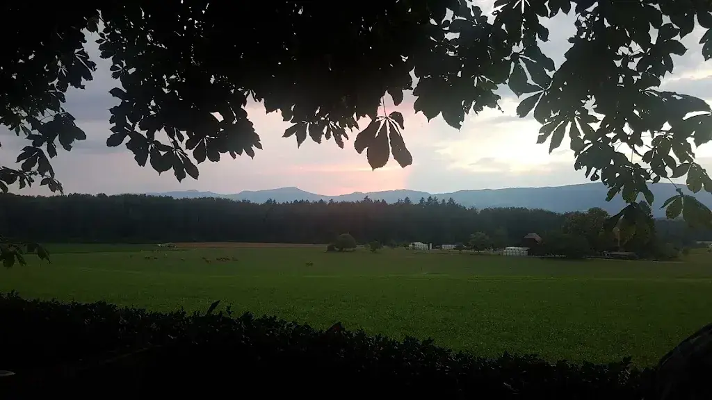 Miriam Gonzalez Martinez_Forst_Thunstetten_avis