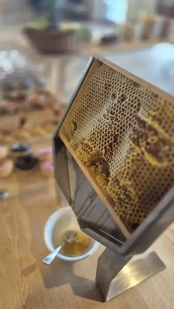 Andra_Gipfelrestaurant Chäserrugg_Unterwasser_review