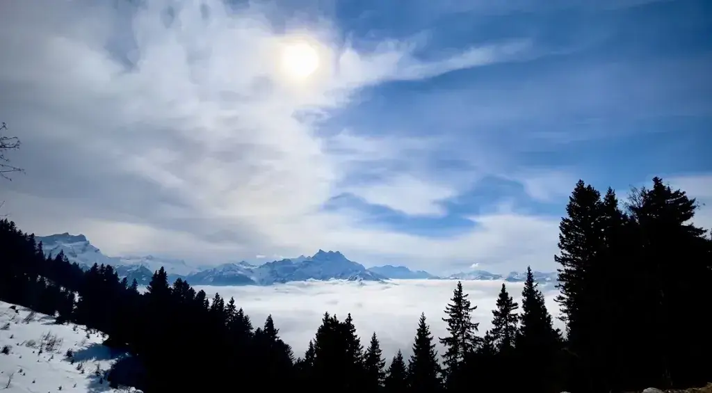 charles j_Chums Cafe Bretaye_Villars-sur-Ollon_review