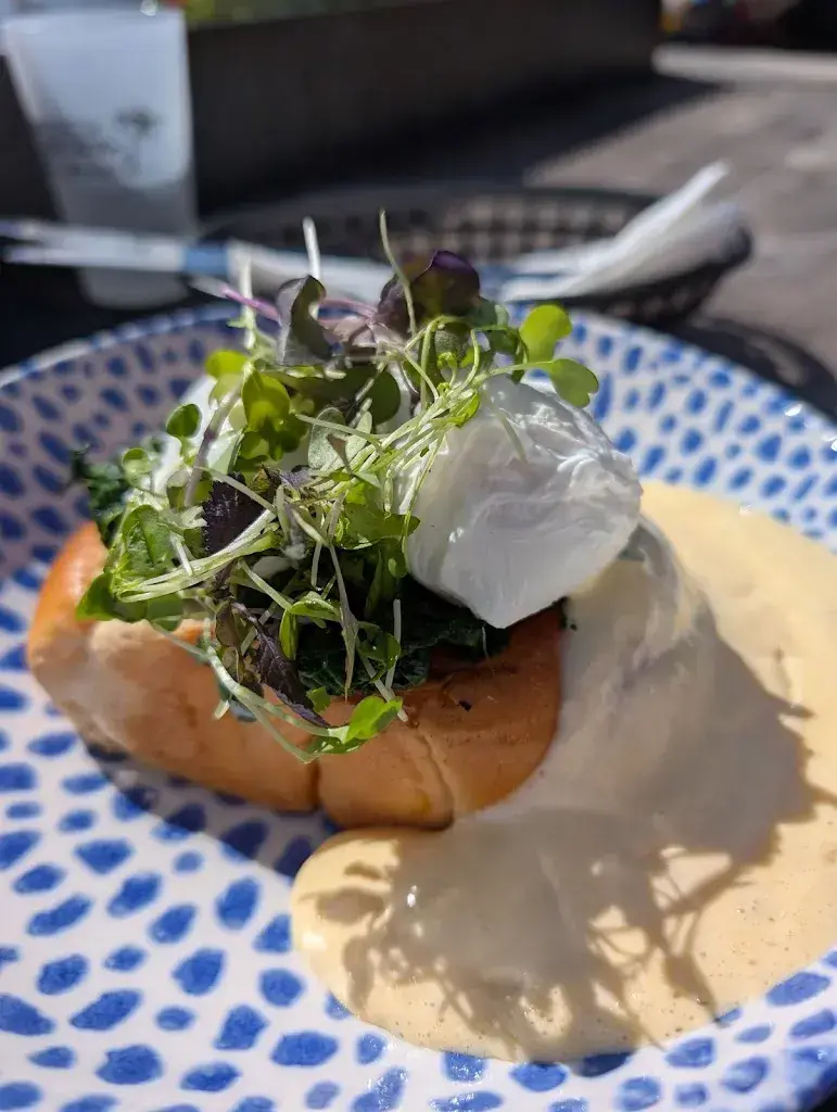 Enzo Mazza_The Lacustre_Lausanne_review