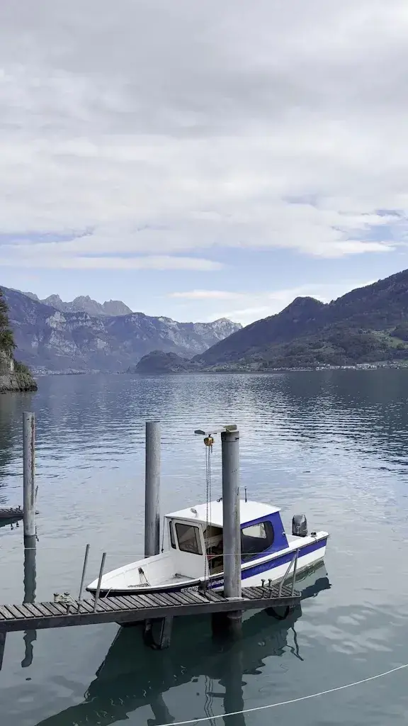 Csaba Barabás_Seehus_quinten_review