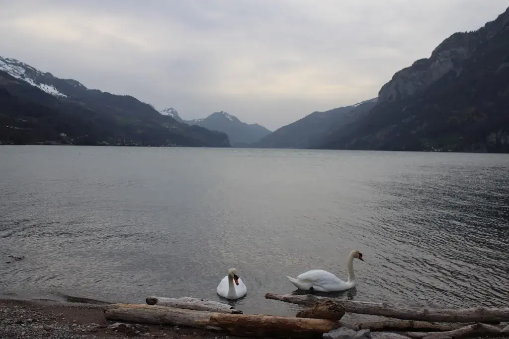 Polo_Marina Restaurant_Quarten_review