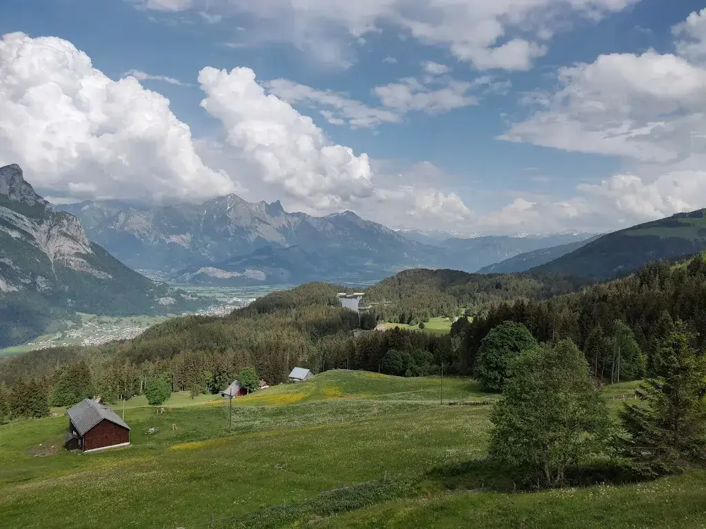 Michael Good_Alp Kohlschlag_Mels_review