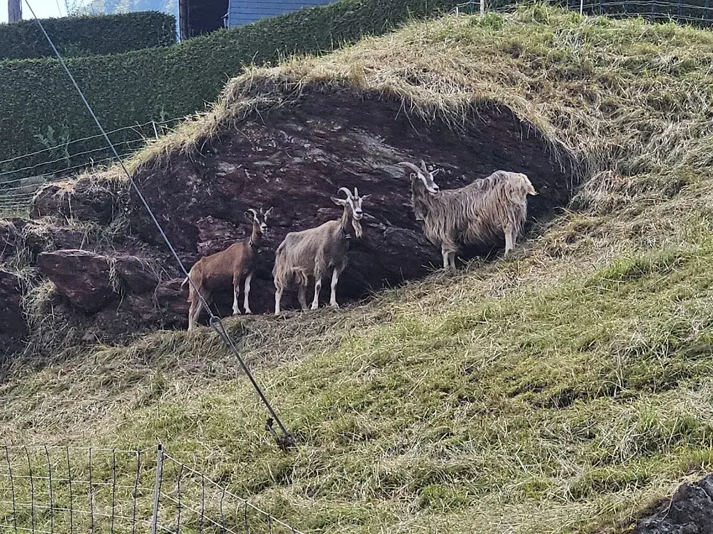 Mathias Fuchs_Knobelboden_Oberterzen_avis