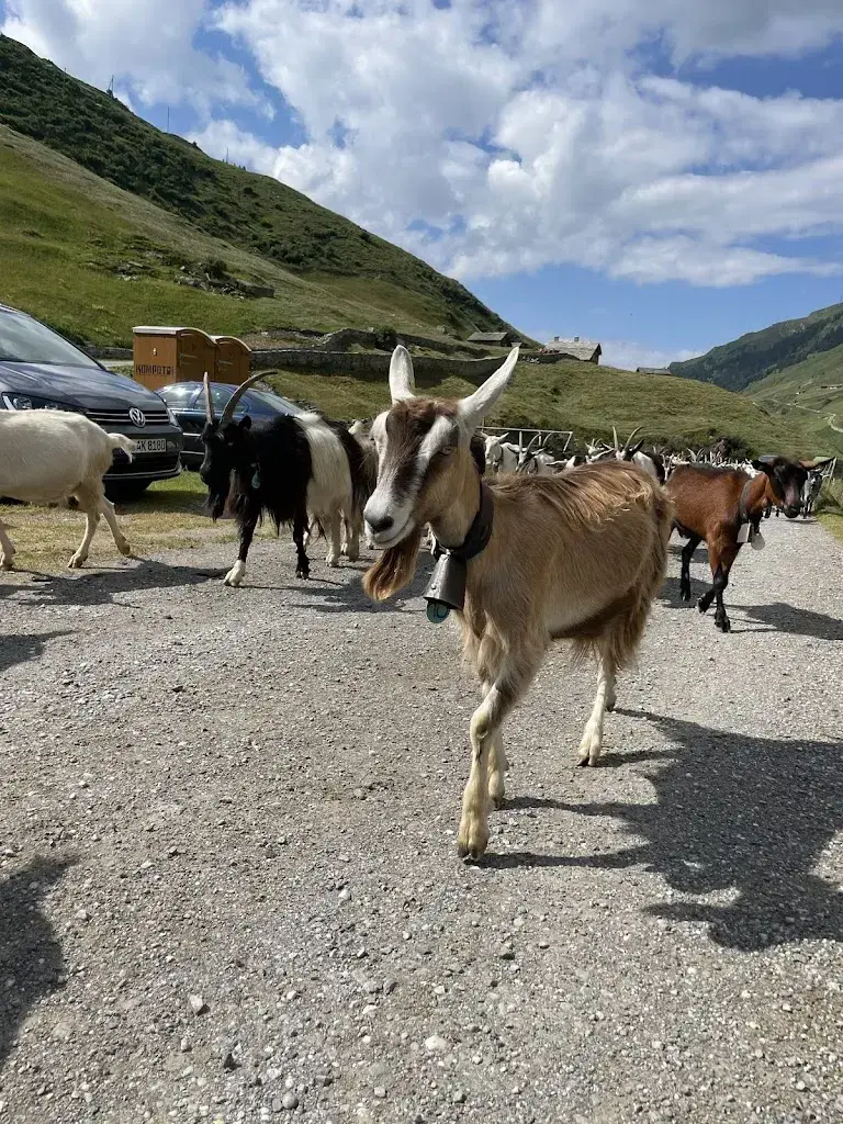 Kiosk Peil_Vals_slider_image_2