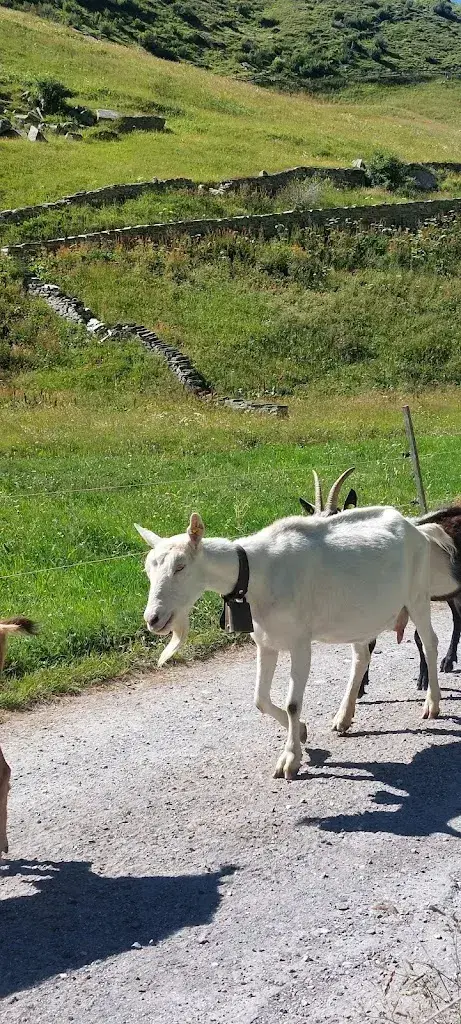 Kiosk Peil_Vals_slider_image_3