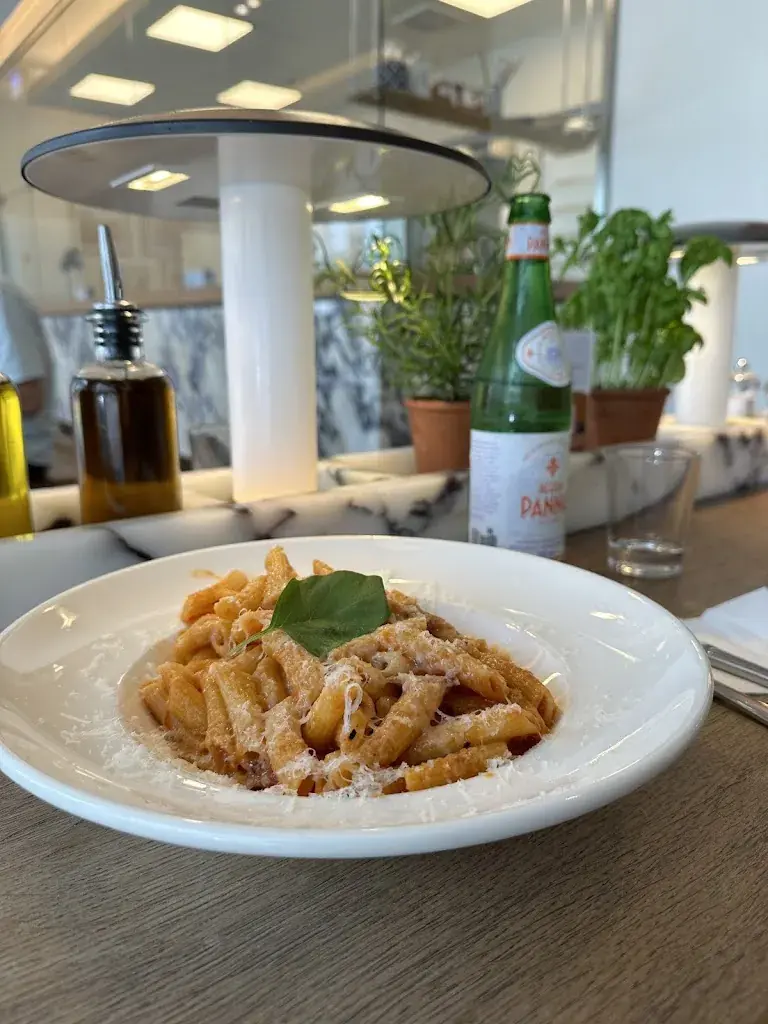 Dina Hassouneh_VaSano Ristorante_Fribourg_review