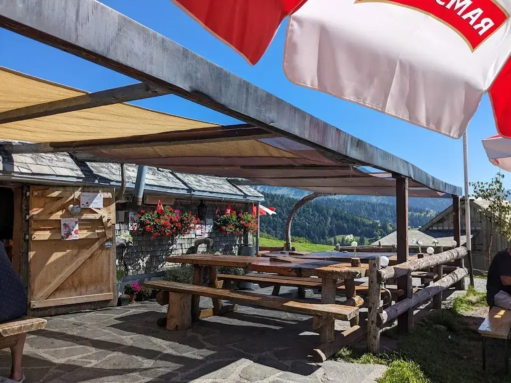 H K_Strichbode_Amden_review