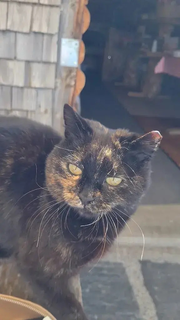 Suzy Furrer_Strichbode_Amden_review