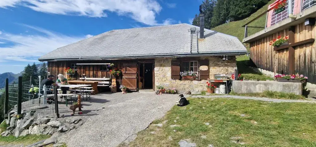 Richard Keller_Alpwirtschaft Furgglen_Amden_avis