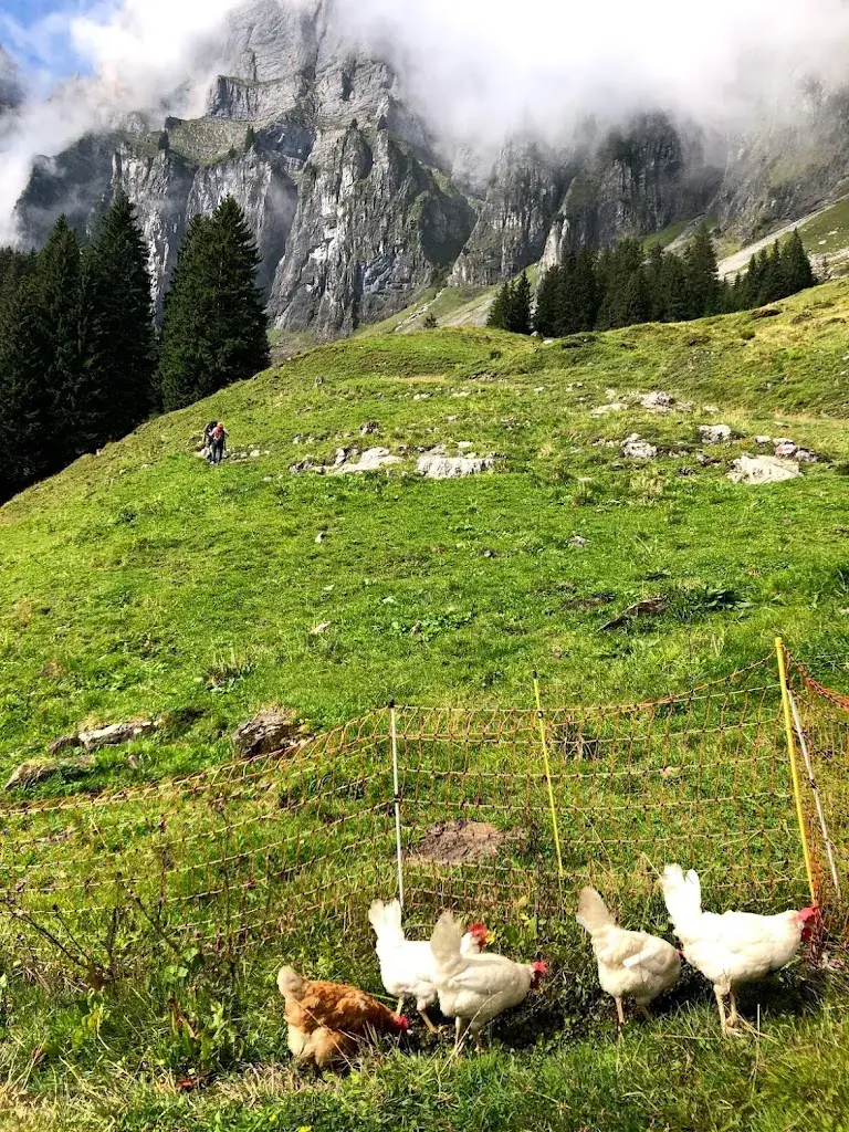 Eun-Kyeong Kim_Alp Tschingla_Walenstadt_review