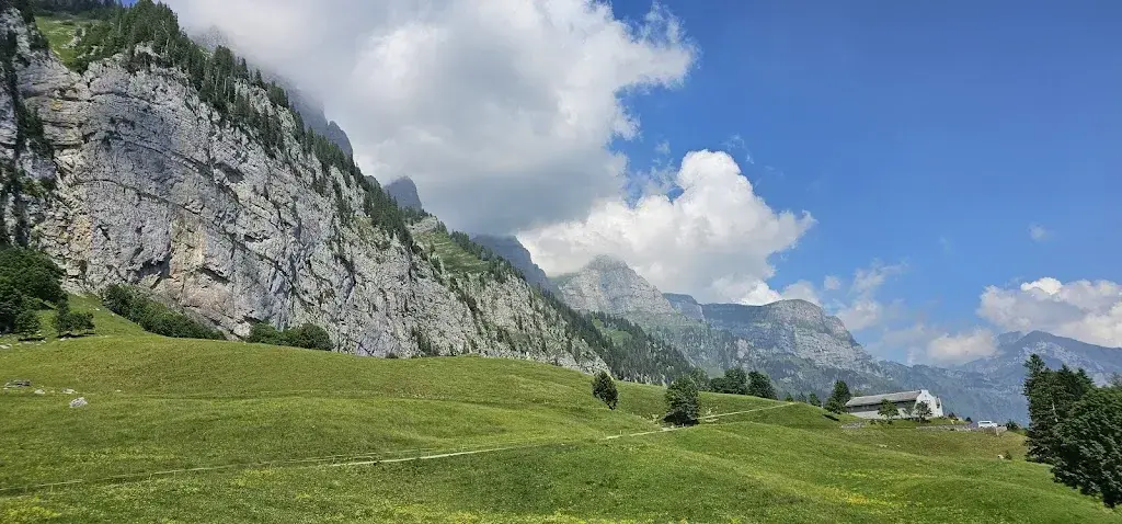 Arnold Merz_Alp Schrina_Walenstadt_avis