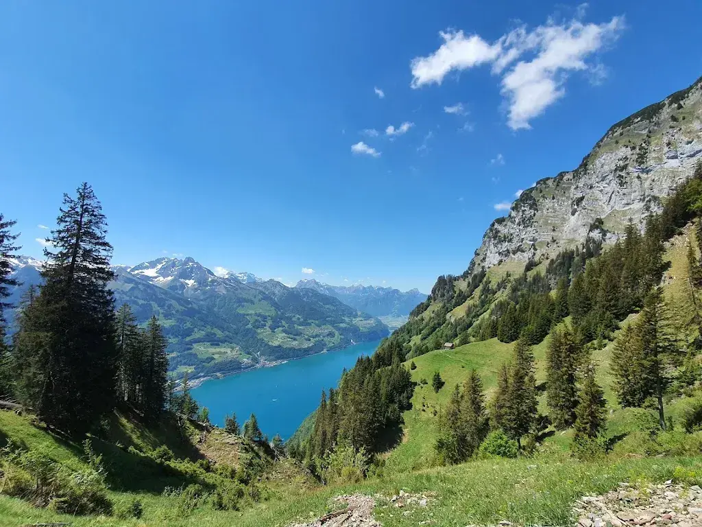 Alp Schwaldis restaurant à Walenstadt