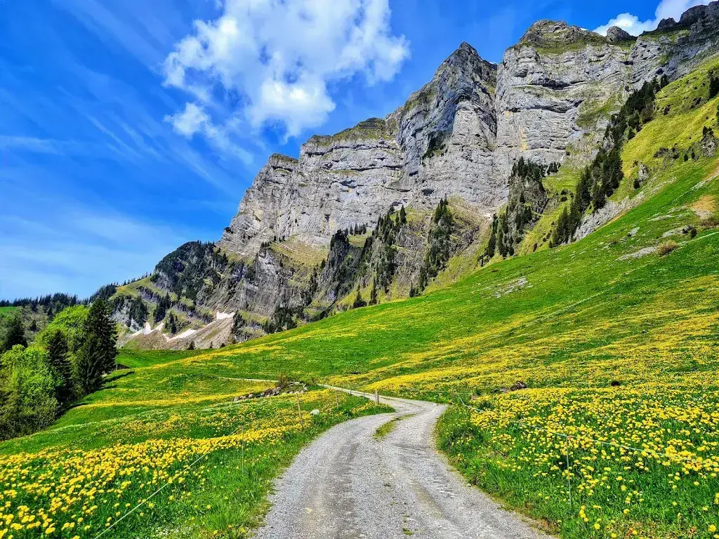 Alp Schwaldis_Walenstadt_slider_image_3