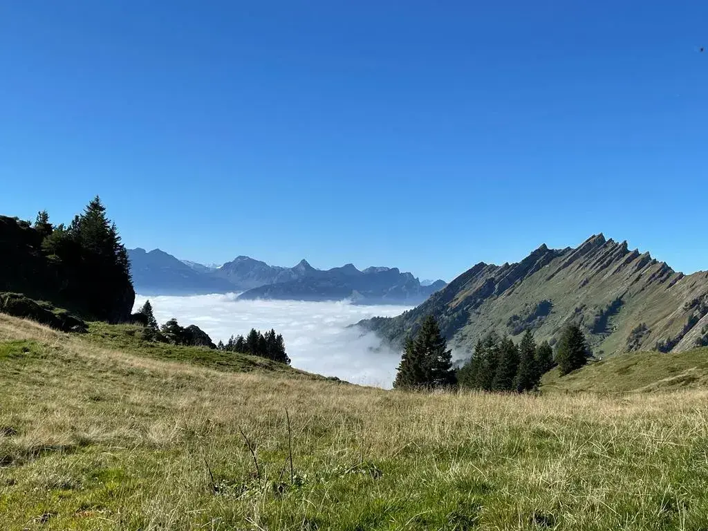 Andre Kolditz_Alpwirtschaft Rossalp_Schänis_review