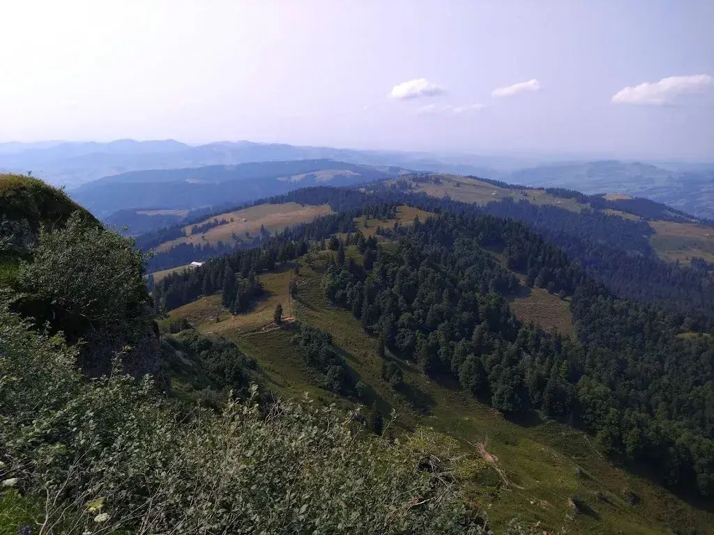 Alpwirtschaft Rossalp restaurant à Schänis