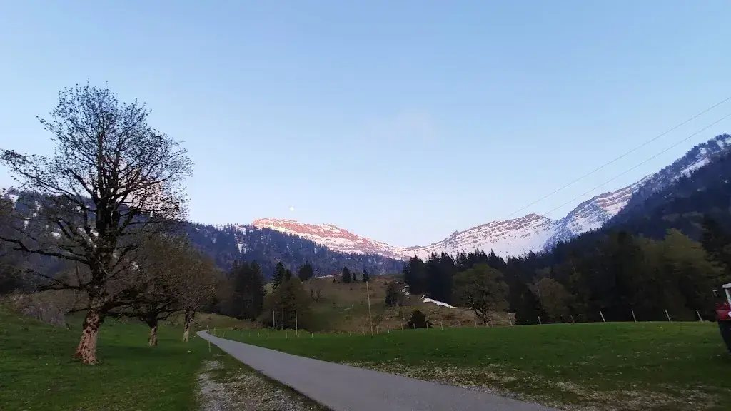 Tomas Mobirec_Alpwirtschaft Vorderwengi_Kaltbrunn_avis